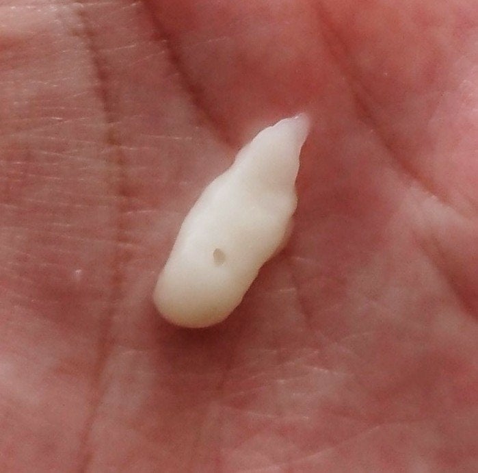 アウトバストリートメントヒートプロテクション/noiry/アウトバストリートメントを使ったクチコミ(4枚目)