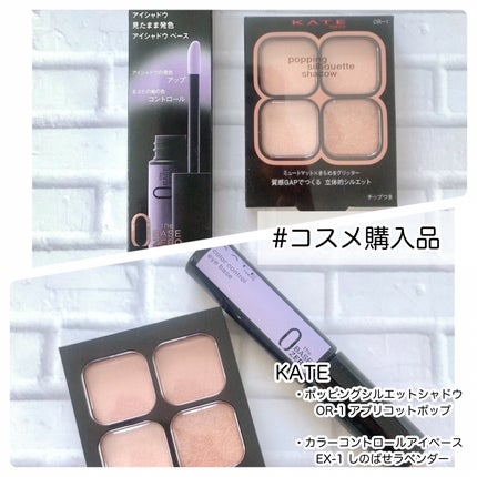 ケイト ポッピングシルエットシャドウ/KATE/アイシャドウパレットを使ったクチコミ(1枚目)