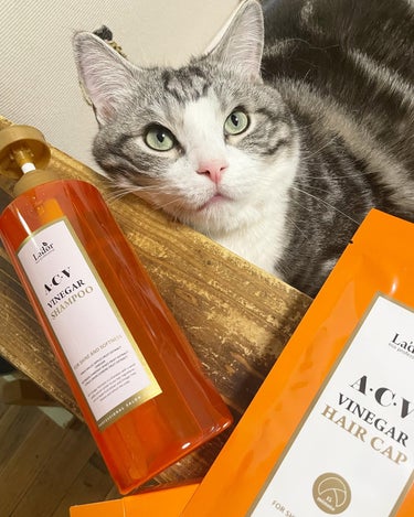 La'dor ACV VINEGAR SHAMPOO／TREATMENTのクチコミ「こちらはA・C・V VINEGAR SHAMPOO(リンゴ酢シャンプー )とヘアキャップです。.....」（1枚目）