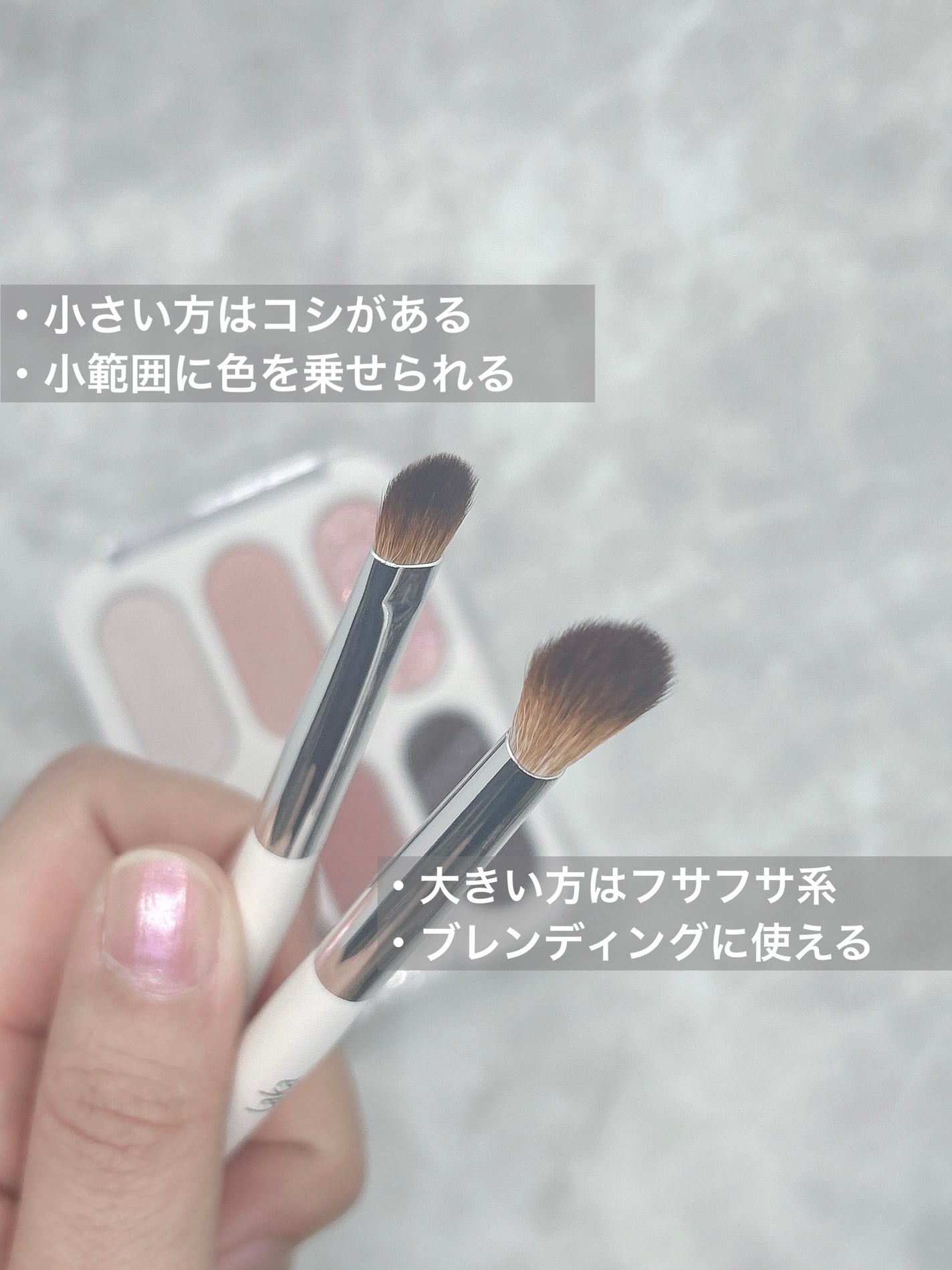 フォーエバー6アイパレット/Laka/アイシャドウパレットを使ったクチコミ(2枚目)