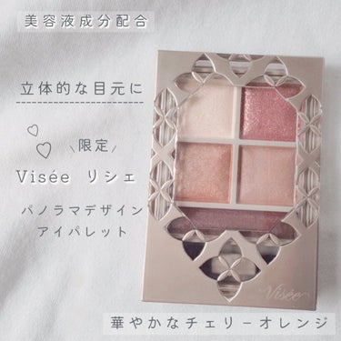 パノラマデザイン アイパレット/Visée/アイシャドウパレットを使ったクチコミ（1枚目）