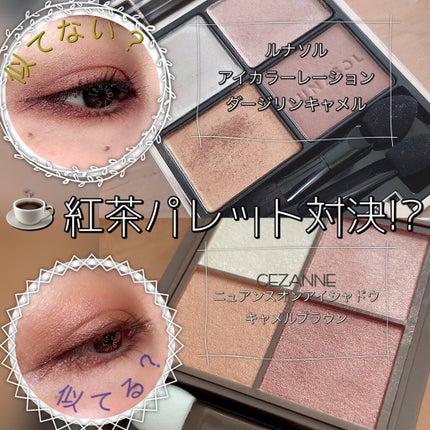 ニュアンスオンアイシャドウ/CEZANNE/アイシャドウパレットを使ったクチコミ(1枚目)
