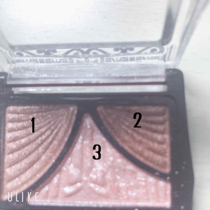 eye closet iDOL Series CANNA ROSE 1day/EYE CLOSET/ワンデー(1DAY)カラコンを使ったクチコミ(2枚目)