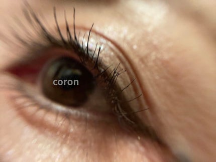 プレスド アイシャドー(レフィル) P チャ グレージュ 866/shu uemura/単色アイシャドウの画像