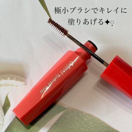 リシェ カラーリング アイブロウマスカラ/Visée/眉マスカラを使ったクチコミ(2枚目)