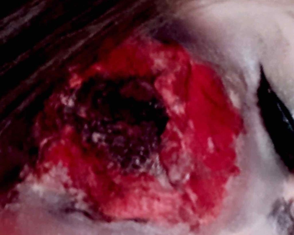 モコ on LIPS 「#ハロウィンメイク23ルック目🎃#傷メイクその2。今回はちゃん..」(2枚目)