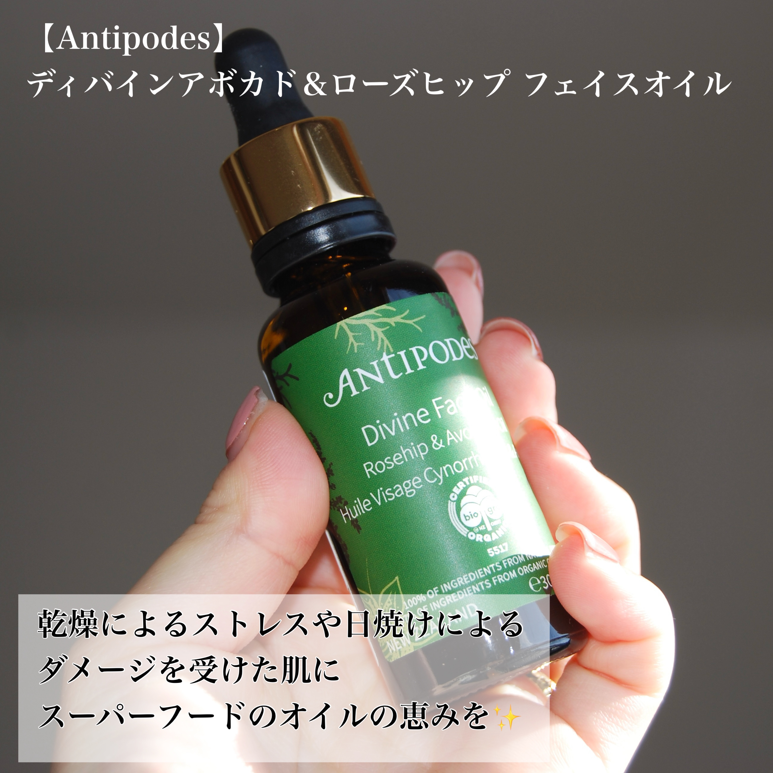 ディバイン アボカド＆ローズヒップ フェイスオイル/Antipodes/フェイスオイルを使ったクチコミ（2枚目）