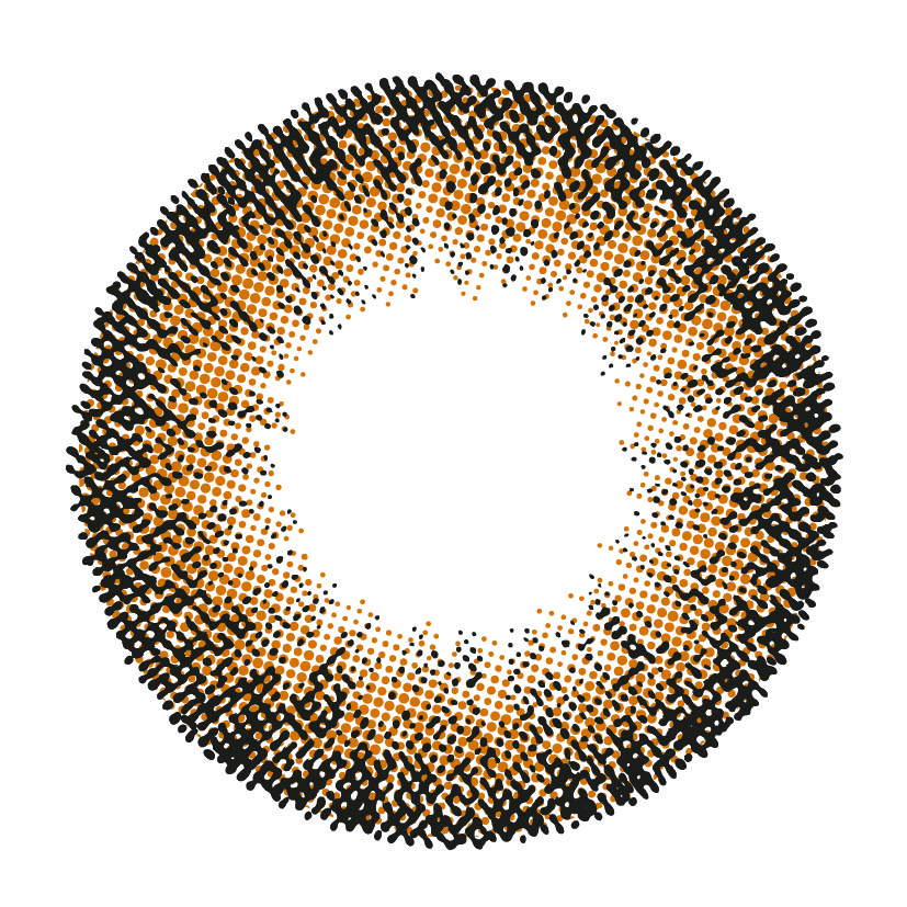 [COLOR] Gypsy Amber（ジプシーアンバー）