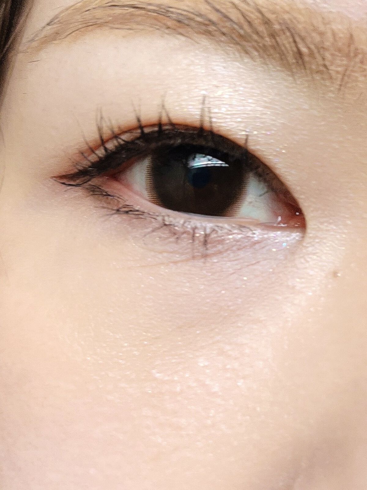 feliamo 1day シアーブラウン/feliamo/ワンデー（１DAY）カラコンを使ったクチコミ（3枚目）