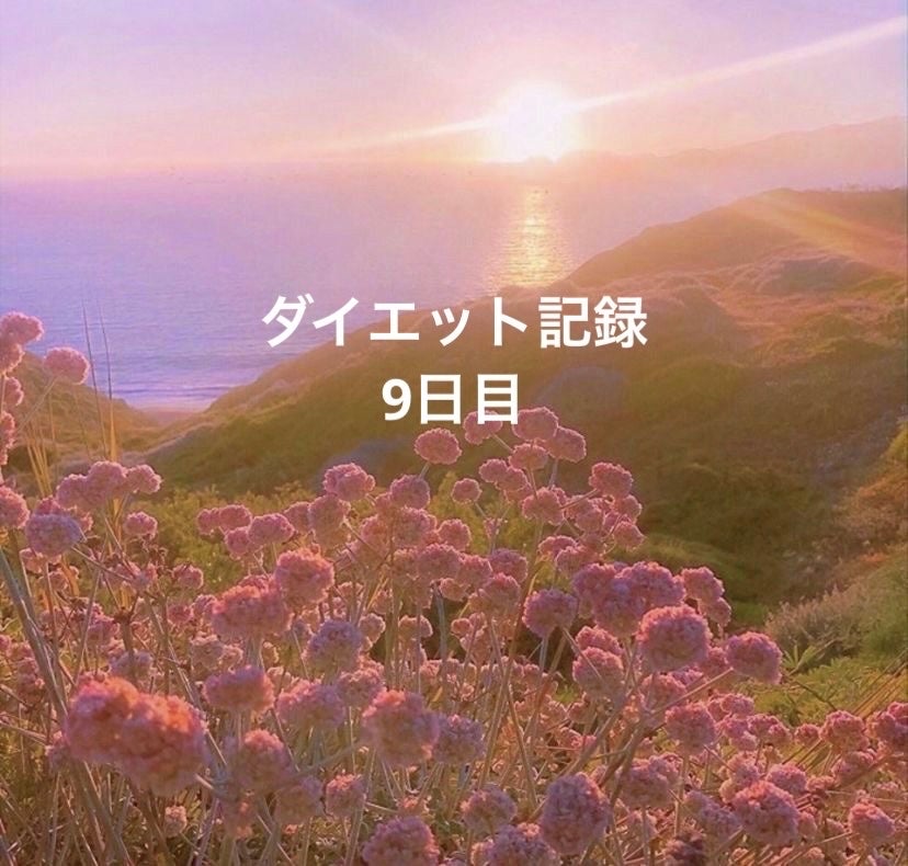 Rinne on LIPS 「体重:52.2kg動画の運動○歩く×水を沢山飲む△朝:なし昼:..」(1枚目)