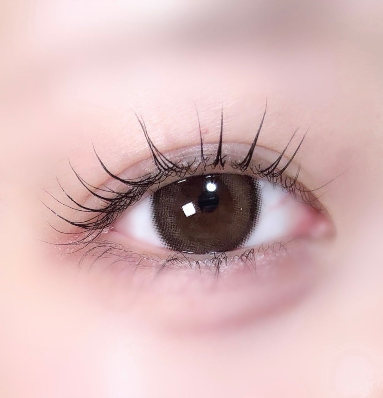 エバーカラーワンデーナチュラル モイストレーベルUV/エバーカラー/ワンデー(1DAY)カラコンを使ったクチコミ(1枚目)