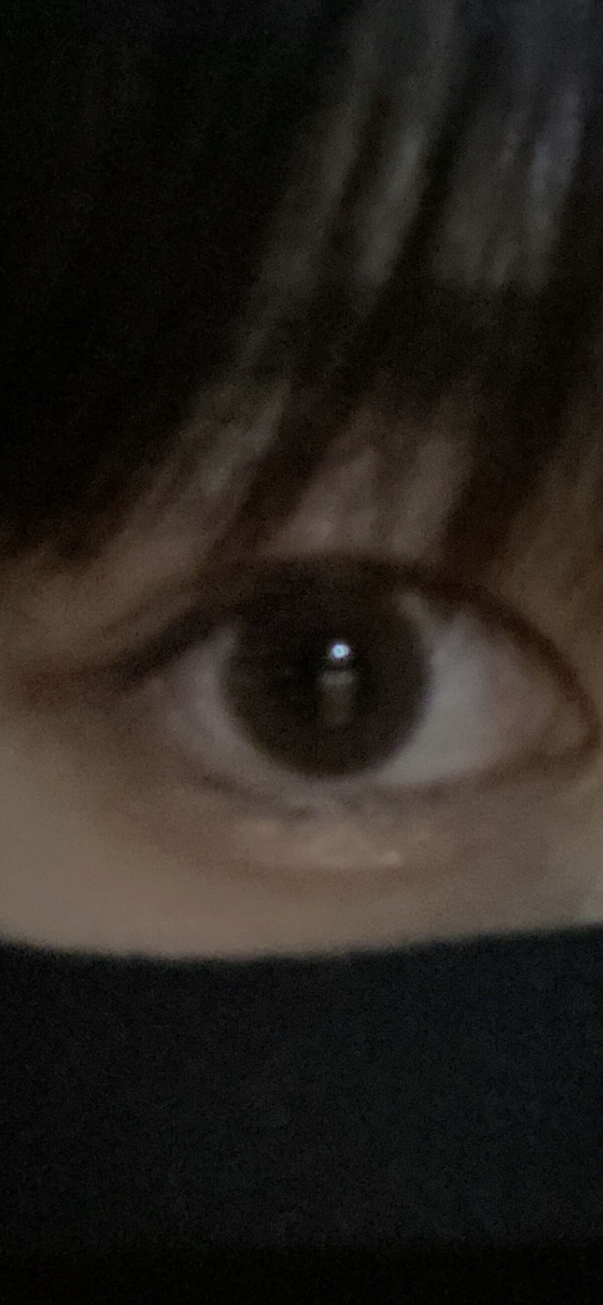 プロ シングル シャドウ/CLIO/単色アイシャドウを使ったクチコミ（1枚目）