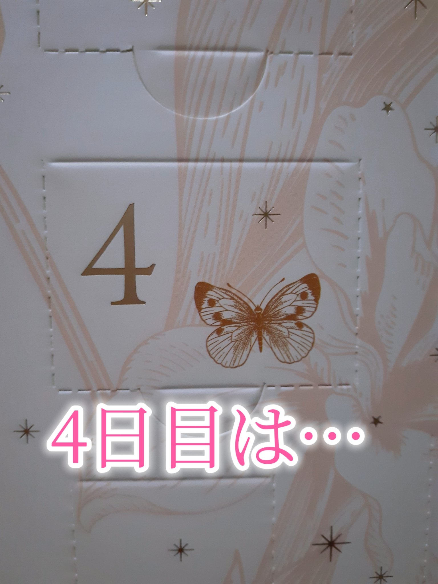 アドベントカレンダー /PEACH JOHN/その他キットセットを使ったクチコミ（2枚目）