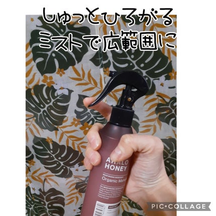 ハイドロ&リペア ジェントル ヘアミスト/AHALO HONEY/プレスタイリング・寝ぐせ直しを使ったクチコミ(2枚目)