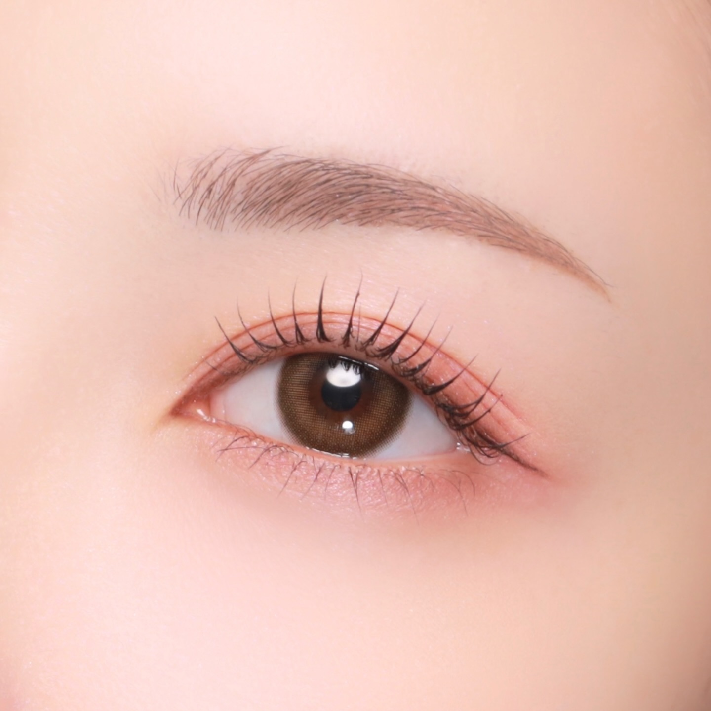 アイカラーレーション/LUNASOL/アイシャドウパレットを使ったクチコミ（3枚目）