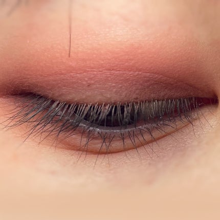 パーフェクトマルチアイズ/キャンメイク/アイシャドウパレットを使ったクチコミ(8枚目)