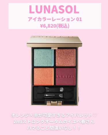 クワッドアイシャドー/NARS/アイシャドウパレットを使ったクチコミ（5枚目）