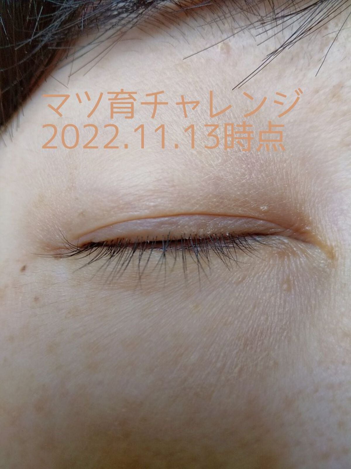 ラッシュジェリードロップ EX/MAJOLICA MAJORCA/まつげ美容液を使ったクチコミ(3枚目)