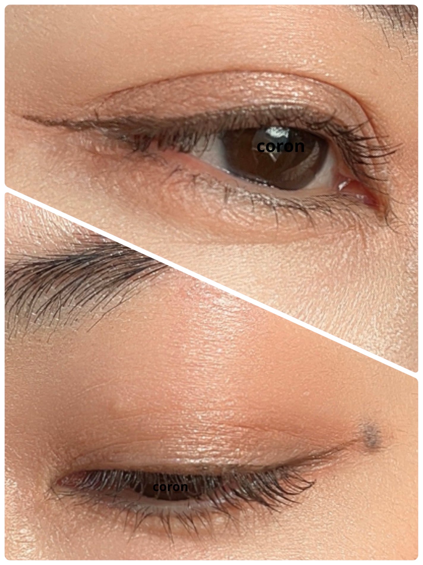 ããŒãã§ã¯ããšã¯ã¹ãã³ã·ã§ã³ ãã¹ã«ã©/D-UP/ãã¹ã«ã©ã䜿ã£ãã¯ãã³ãïŒ2æç®ïŒ