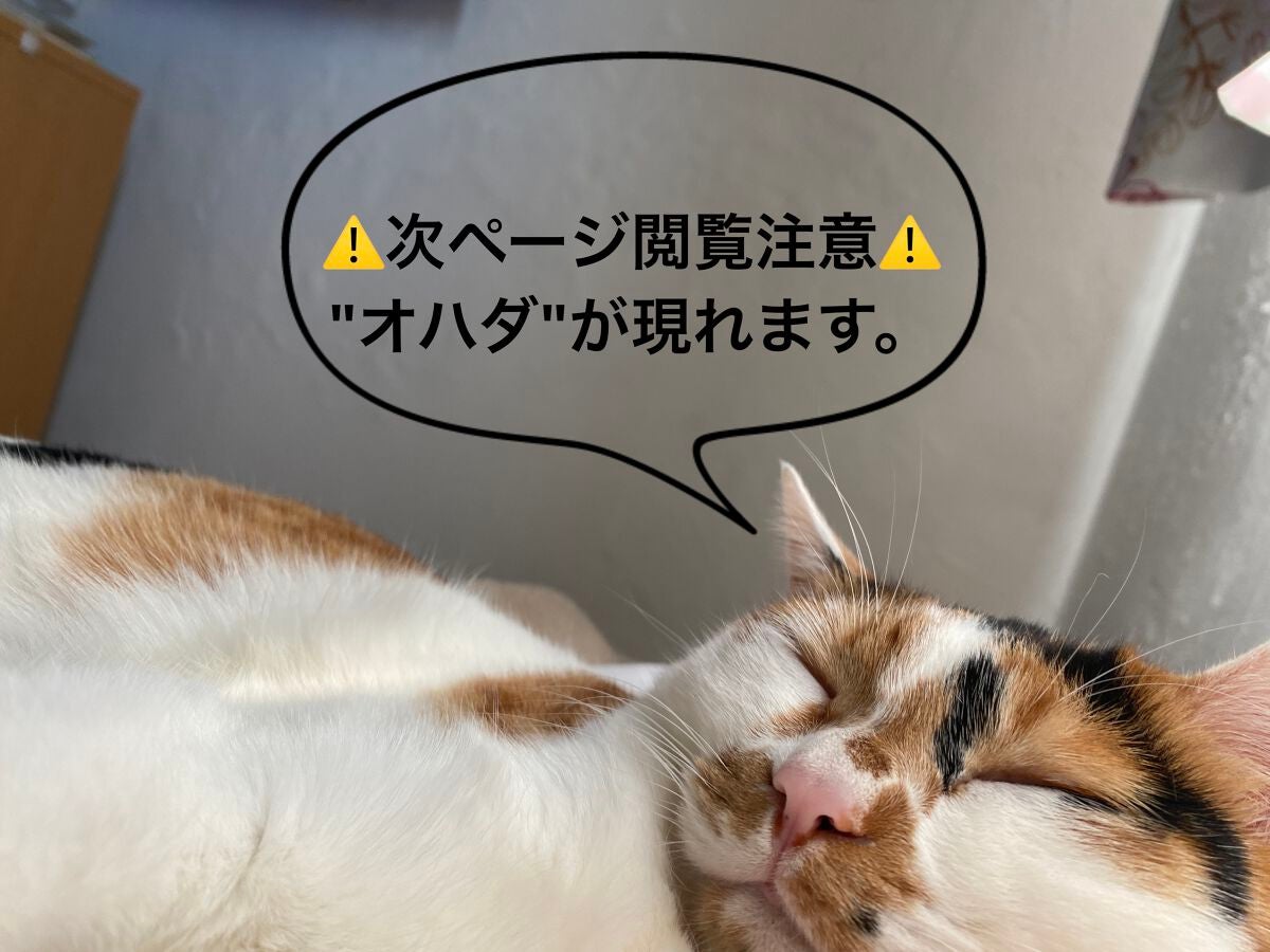 潤浸保湿 乳液/キュレル/乳液を使ったクチコミ(3枚目)