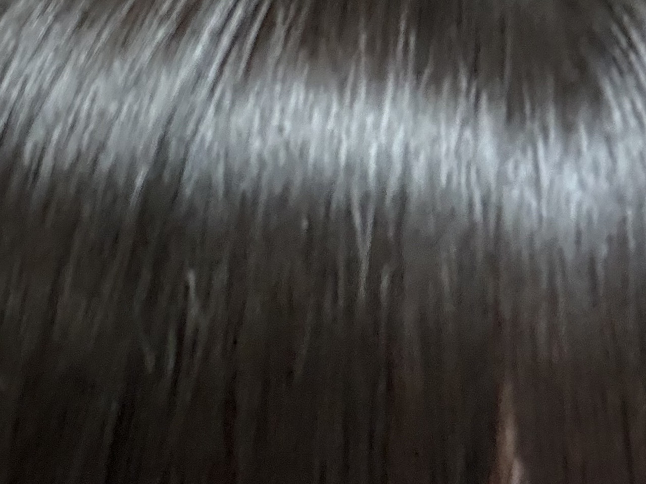 モイスチュアコントロール ヘアパック/スティーブンノル ニューヨーク/ヘアマスク・ヘアパックを使ったクチコミ（1枚目）