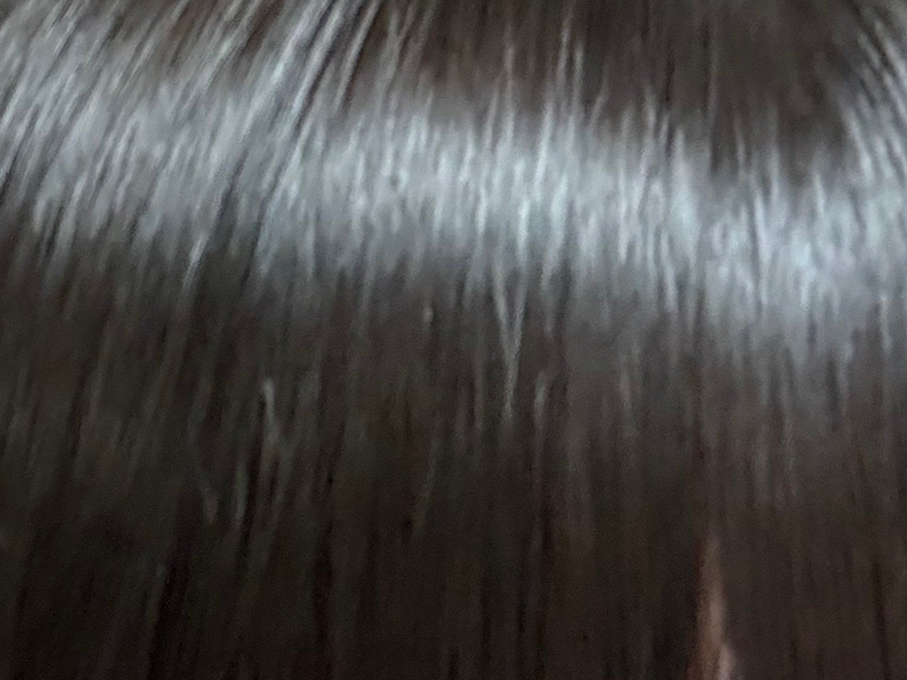 海藻 ヘア エッセンス しっとり/ラサーナ/ヘアオイルを使ったクチコミ(1枚目)