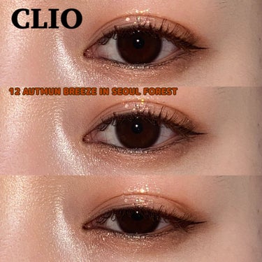 CLIO
プロアイパレット
12 AUTMUN BREEZE IN SEOUL FOREST
￥3740

ちょっとオレンジ味のある色味で
ブルベの私でも使えるオレンジアイシャドウ
だなっと感じました！