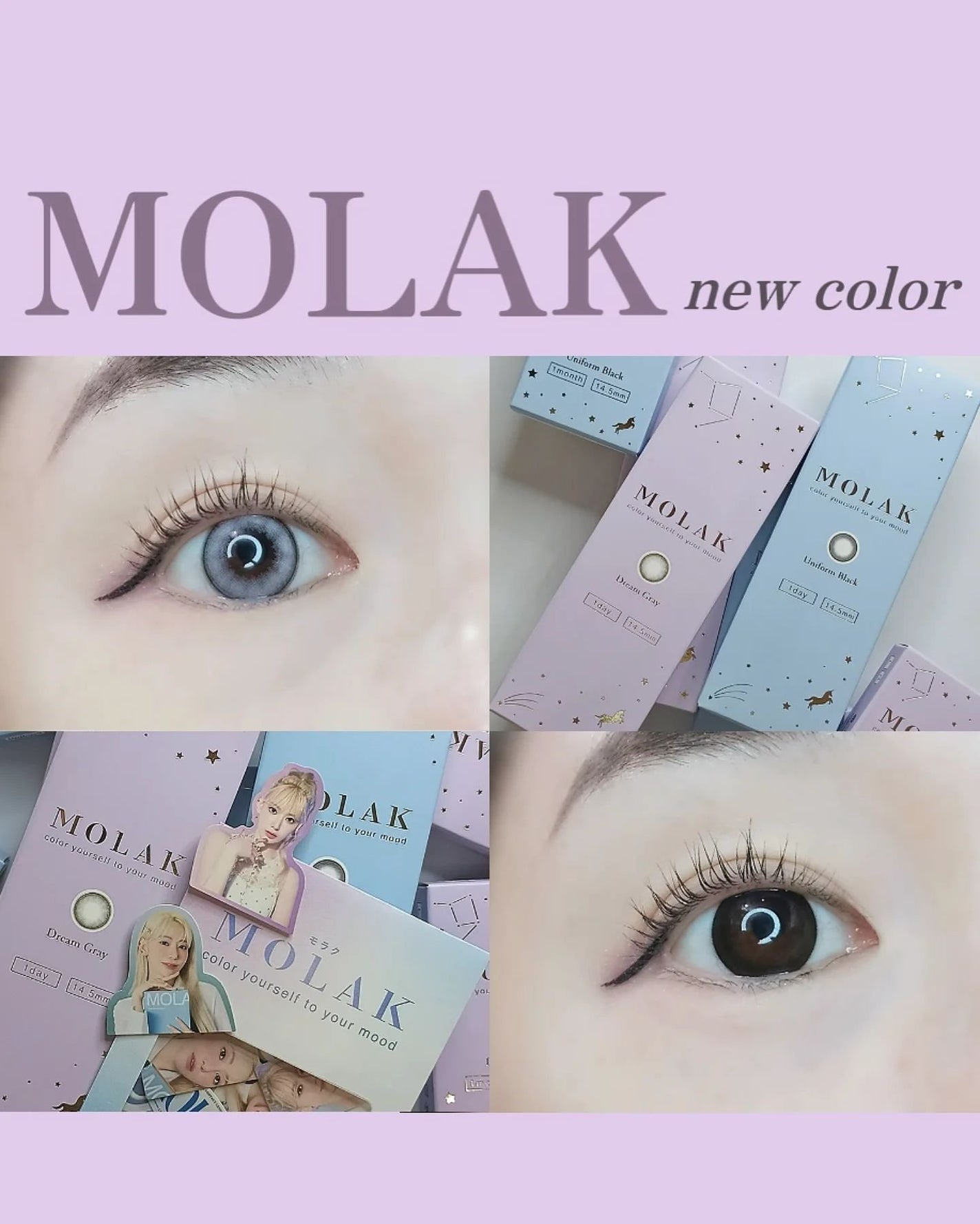 MOLAK 1day/MOLAK/ワンデー(1DAY)カラコンを使ったクチコミ(1枚目)