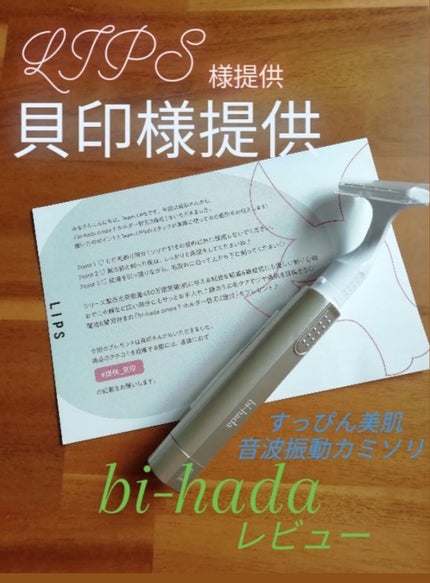 bi-hada ompa L ホルダー替刃2個付/貝印/シェーバーを使ったクチコミ(1枚目)
