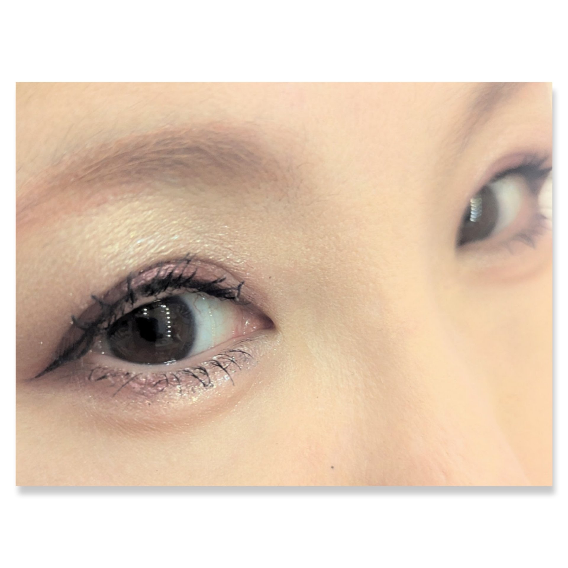 ヴォワヤジュールアイシャドウパレット 1192/NARS/アイシャドウパレットを使ったクチコミ（2枚目）