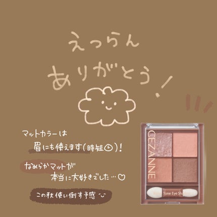 ビタートーンアイシャドウ/CEZANNE/パウダーアイシャドウを使ったクチコミ(8枚目)