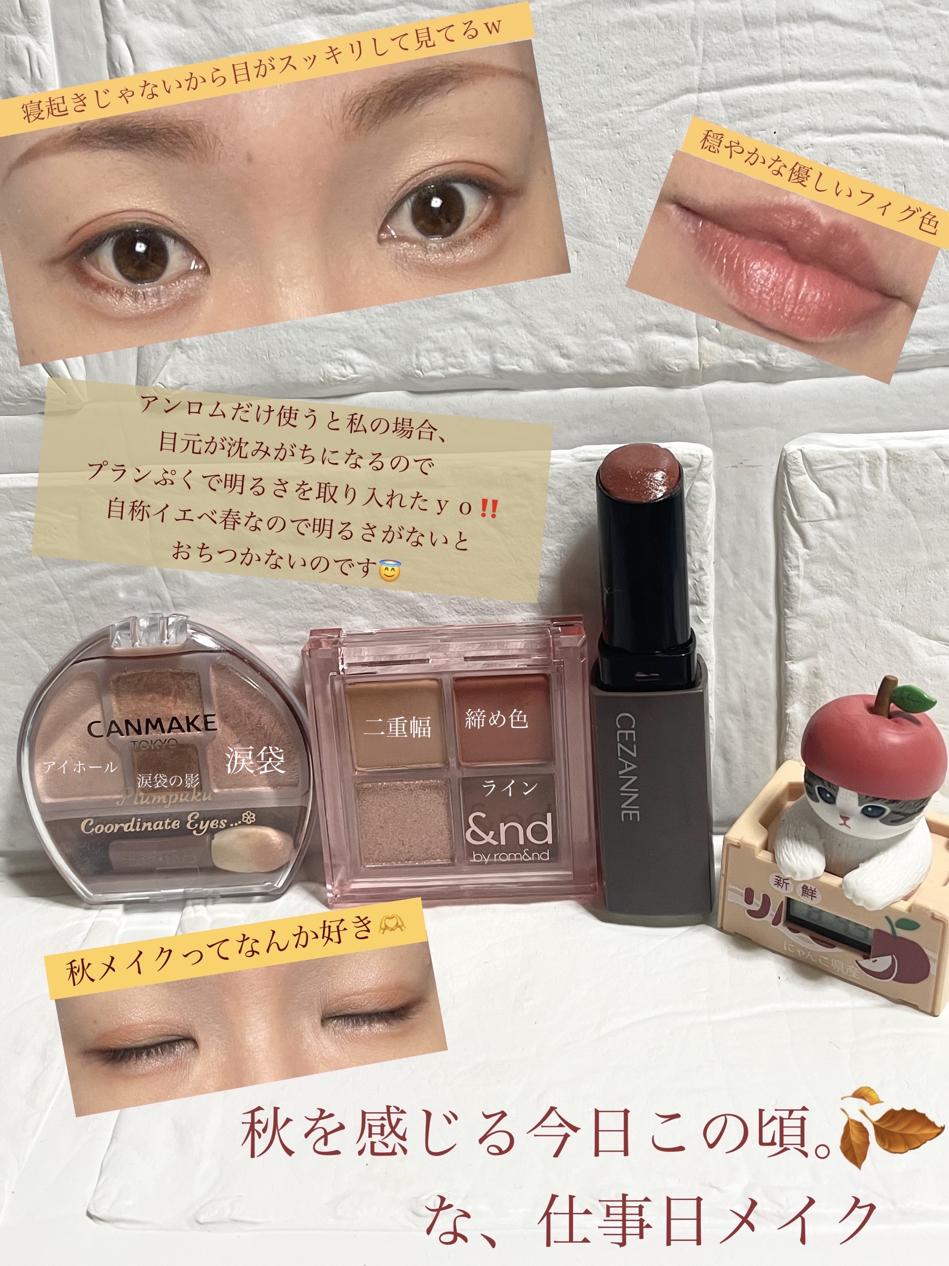 リップカラーシールド/CEZANNE/口紅を使ったクチコミ（1枚目）