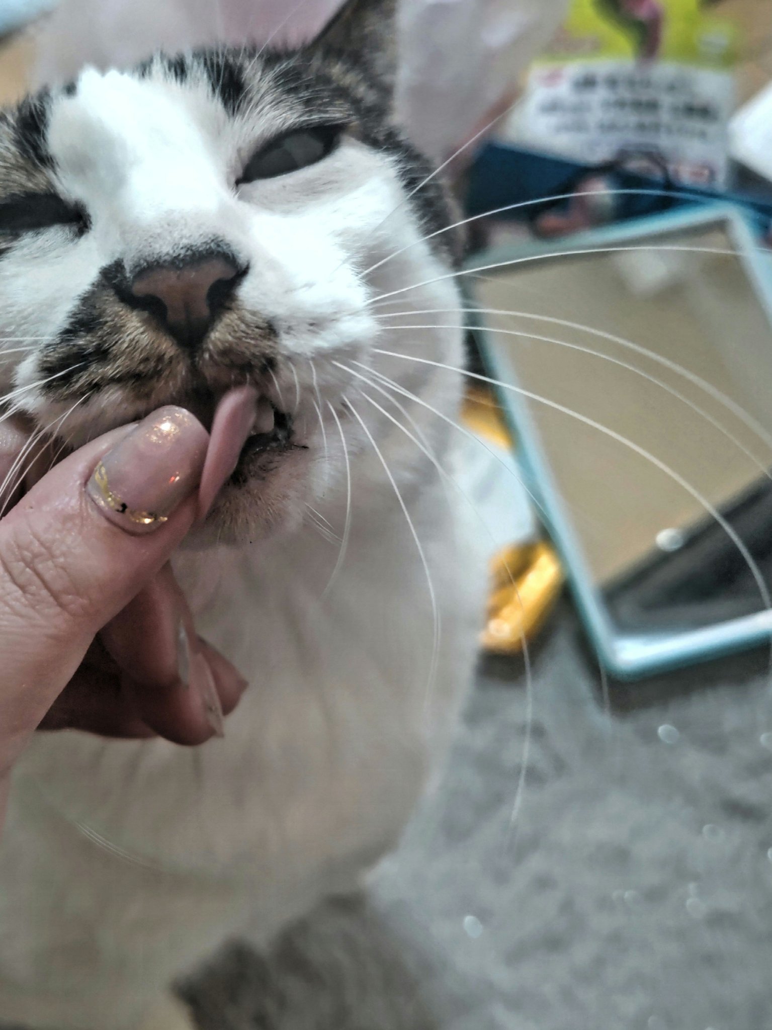 セミキュアジェルネイル（ハンド） ND-055-J N Pink Mermaid/ohora/ネイルシールを使ったクチコミ（1枚目）