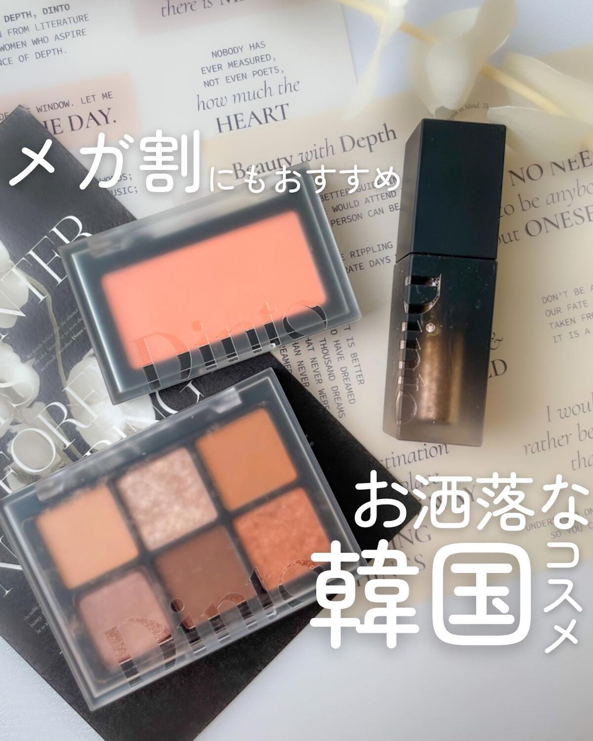 ブラーフィニシュシャドウパレット/Dinto/アイシャドウパレットを使ったクチコミ（1枚目）