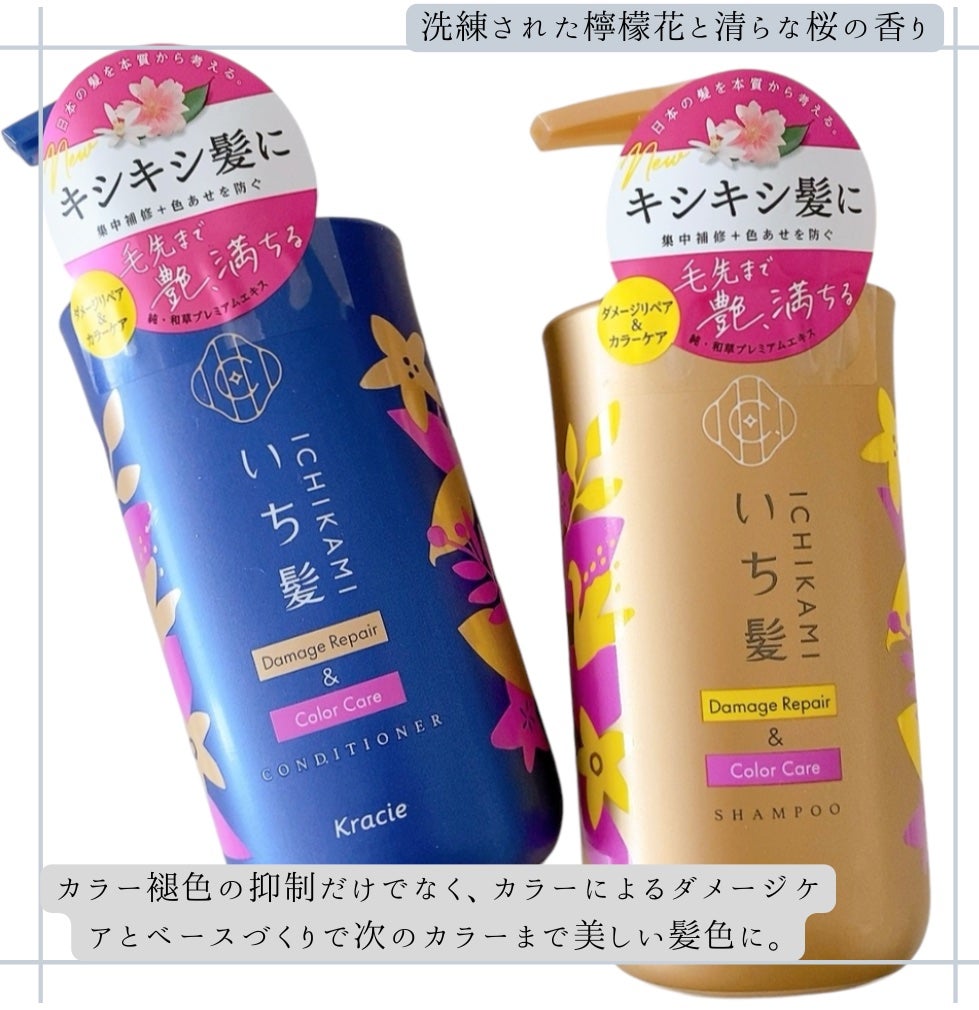 ãã¡ãŒãžãªãã¢ïŒã«ã©ãŒã±ã¢ ã·ã£ã³ããŒ/ã³ã³ãã£ã·ã§ããŒ/ãã¡é«ª/åžè²©ã·ã£ã³ããŒã䜿ã£ãã¯ãã³ãïŒ1æç®ïŒ