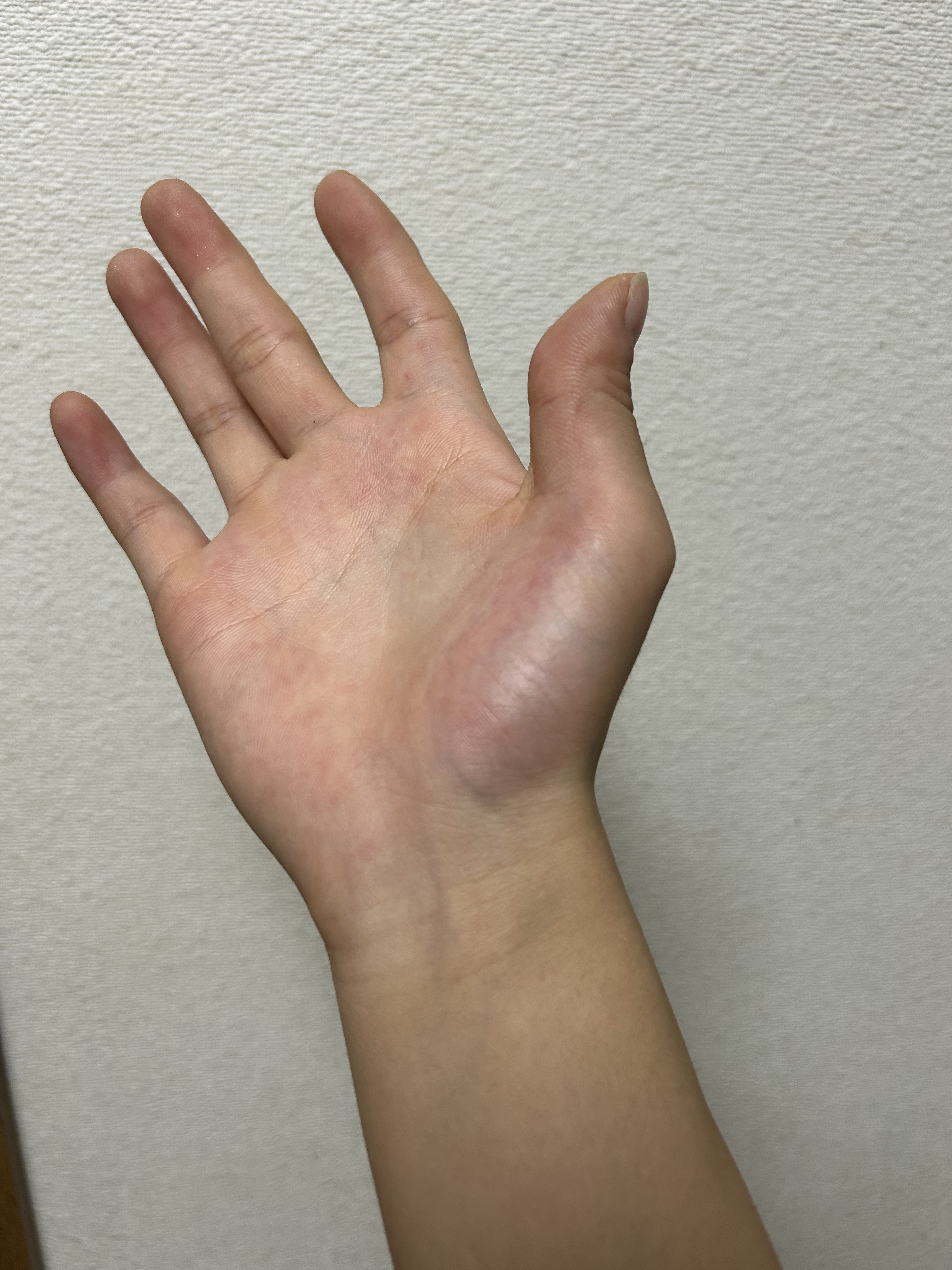 リップカラーシールド/CEZANNE/口紅を使ったクチコミ（3枚目）