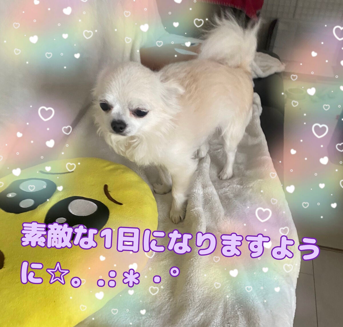 ミニネイル/パラドゥ/マニキュアを使ったクチコミ(7枚目)