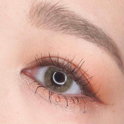 THE アイパレR 05 予感のアプリコット【旧】/b idol/アイシャドウパレットを使ったクチコミ(2枚目)