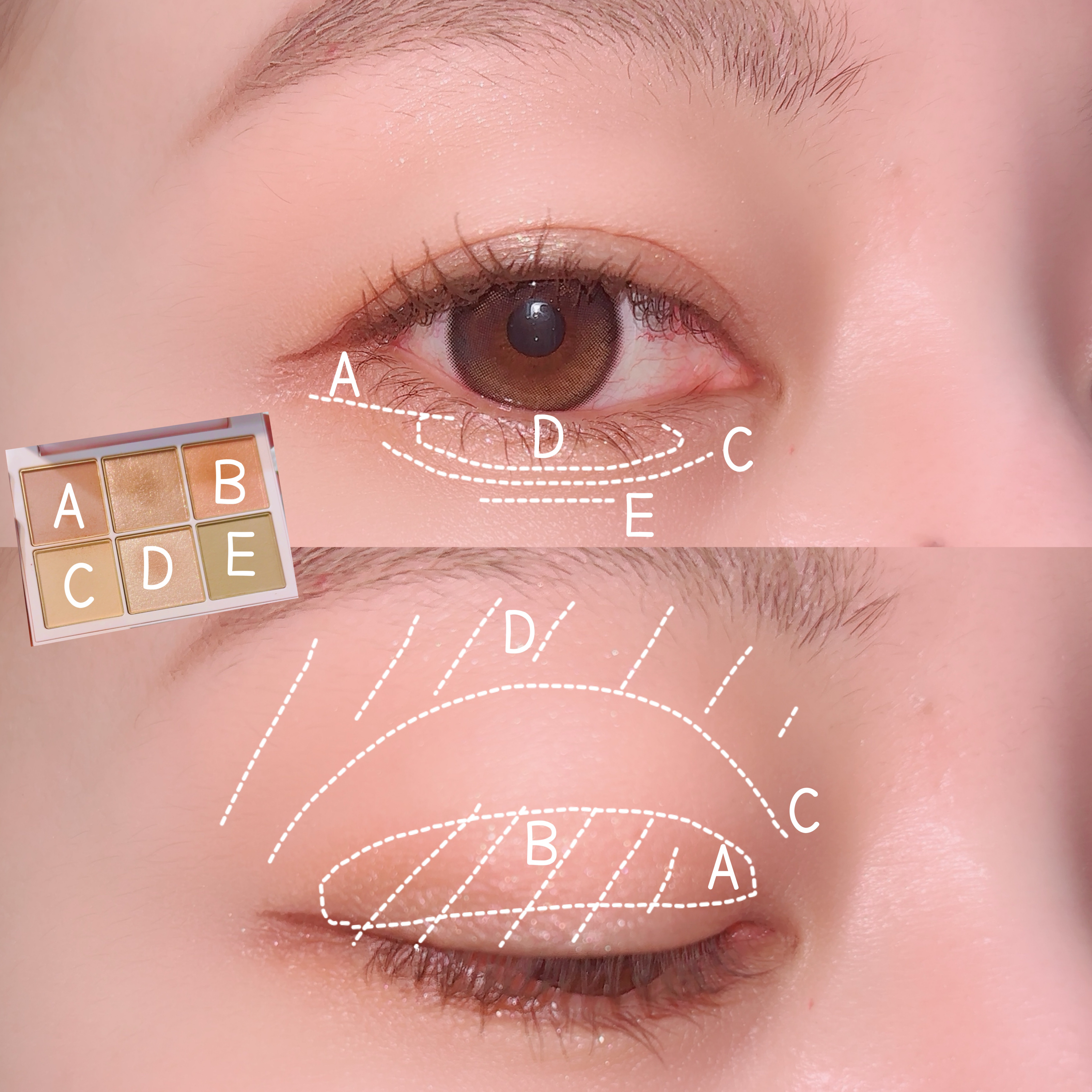 アイデザイナー/SNIDEL BEAUTY/アイシャドウパレットを使ったクチコミ（2枚目）