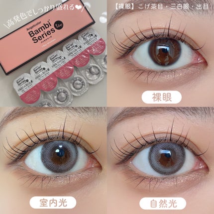 Angelcolor Bambi Series 1day /AngelColor/ワンデー(1DAY)カラコンを使ったクチコミ(4枚目)