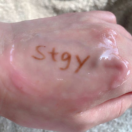 クリアクレンジングジェル/Stgy/クレンジングジェルを使ったクチコミ(9枚目)