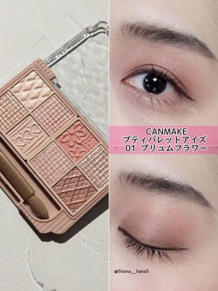 プティパレットアイズ/キャンメイク/パウダーアイシャドウを使ったクチコミ(1枚目)