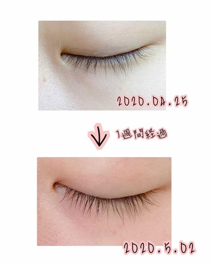 ラッシュジェリードロップ EX/MAJOLICA MAJORCA/まつげ美容液を使ったクチコミ(2枚目)