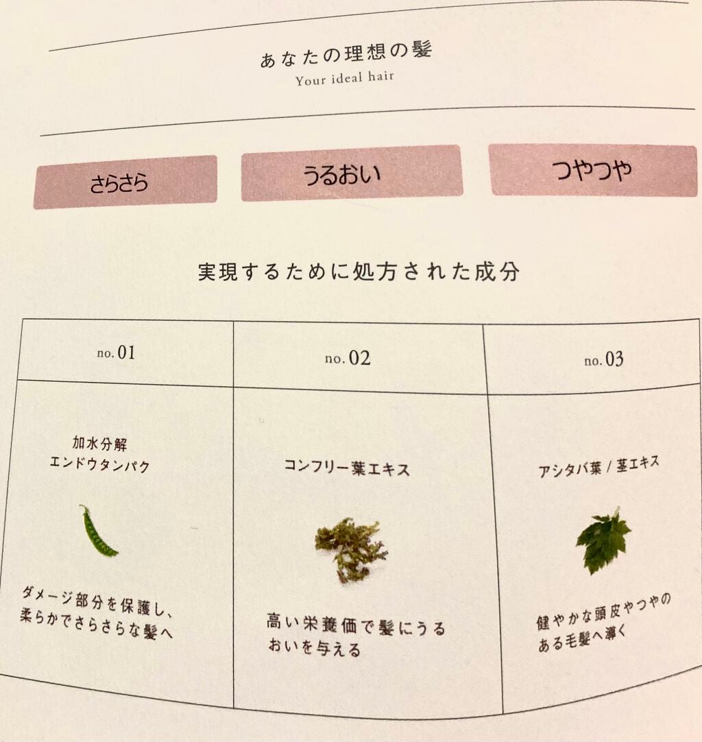 MEDULLA シャンプー/リペア/MEDULLA/シャンプー・コンディショナーを使ったクチコミ(6枚目)