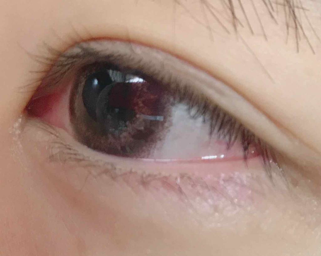 エバーカラーワンデーナチュラル モイストレーベルUV/エバーカラー/ワンデー(1DAY)カラコンを使ったクチコミ(3枚目)