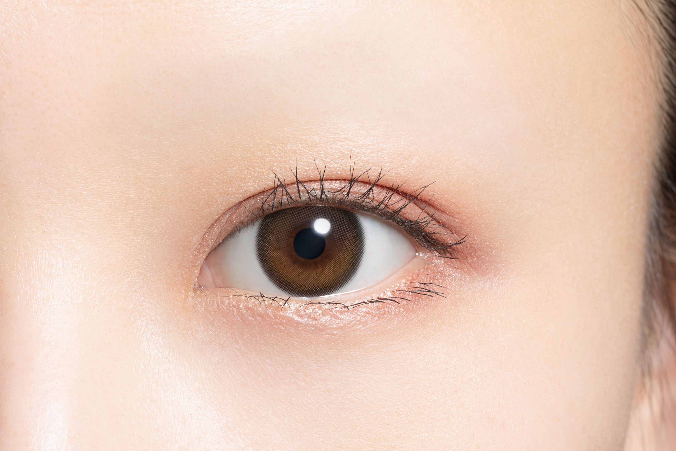 mimuco 1day ココトリュフ