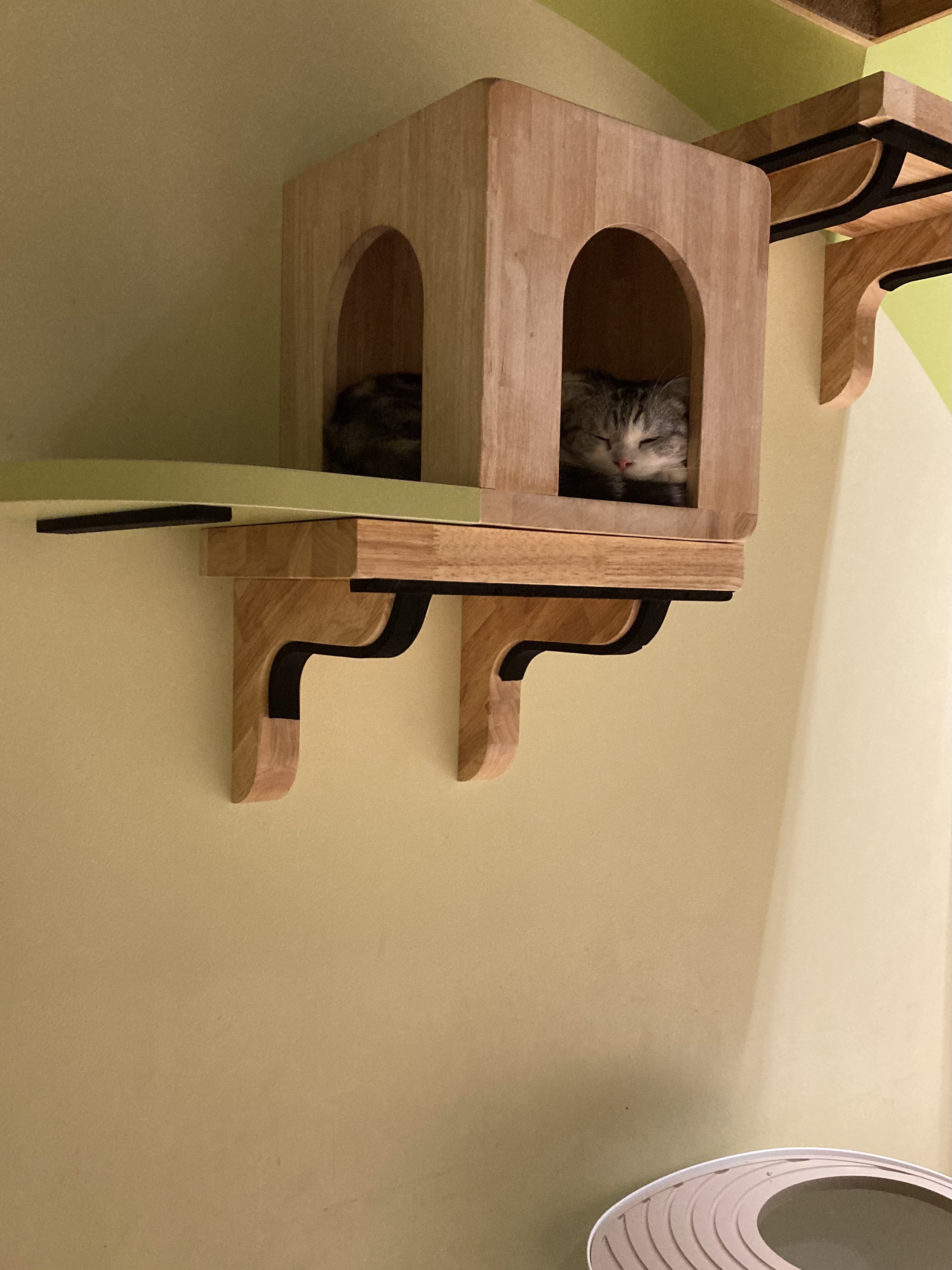 マットシフォン UVホワイトニングベースN 限定ミニ24 02 natural/KiSS/化粧下地を使ったクチコミ（1枚目）