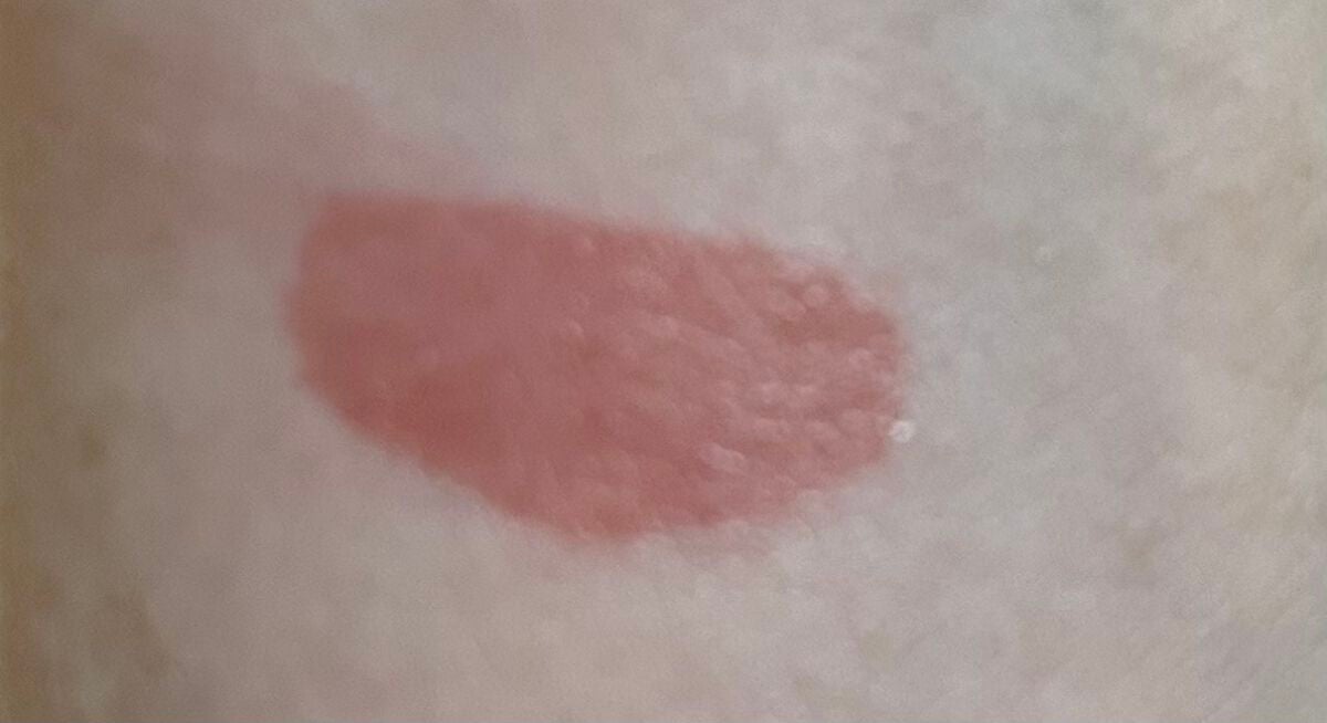 フルーティーグラムティント/Laka/リップティントを使ったクチコミ(2枚目)