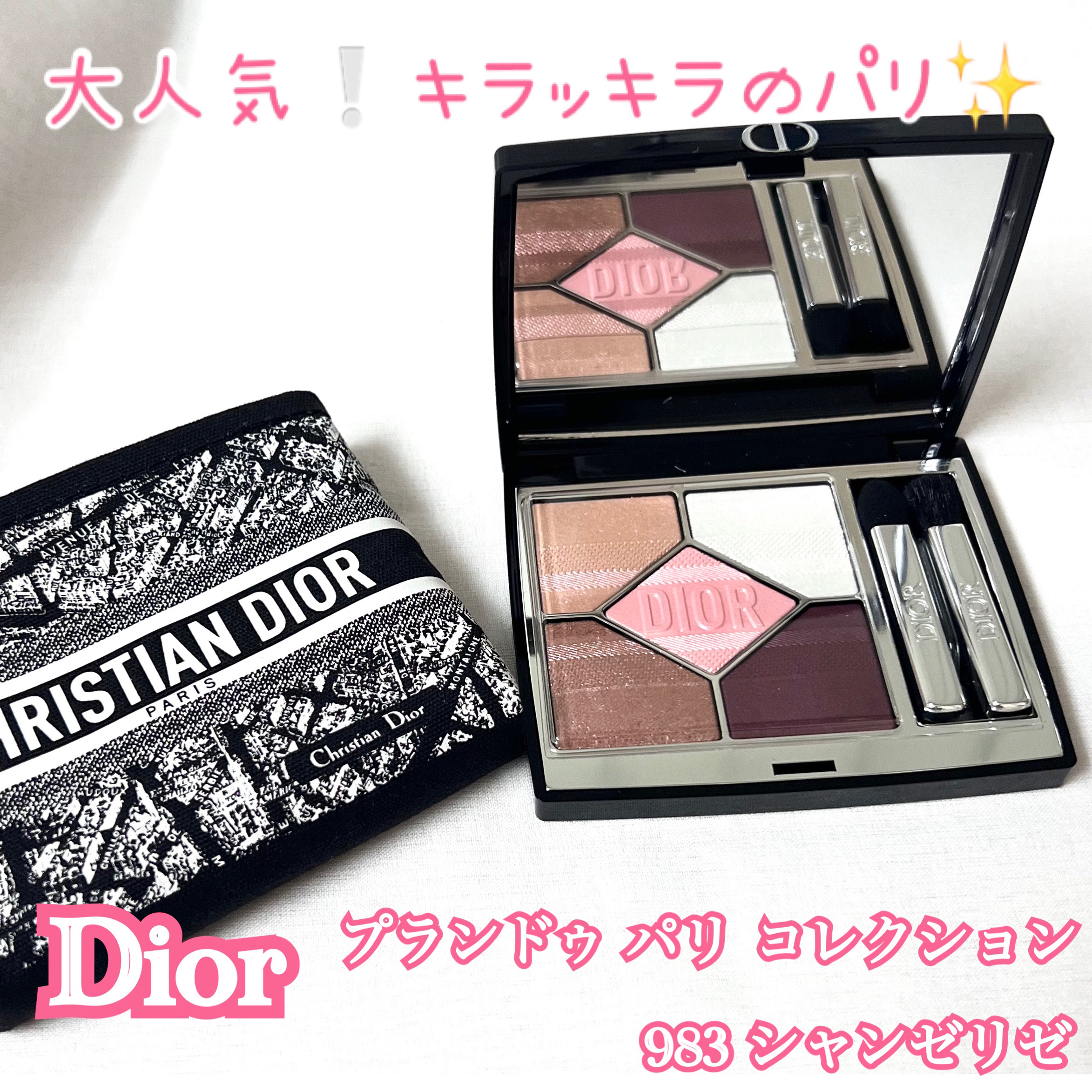 【旧】ディオールショウ サンク クルール（プラン ドゥ パリ コレクション限定品）/Dior/アイシャドウを使ったクチコミ（1枚目）