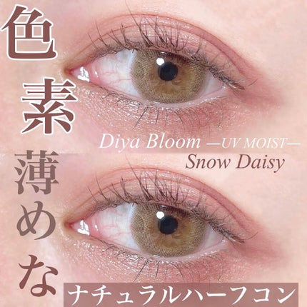 Diya Bloom UVモイスト/Diya/カラーコンタクトレンズを使ったクチコミ(1枚目)